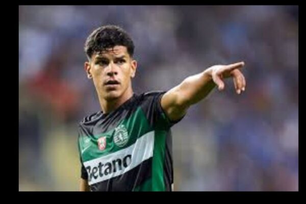 Mateus Fernandes