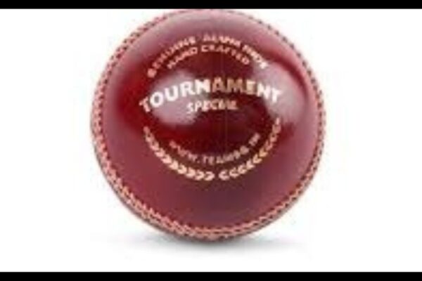 Buchi Babu Trophy
