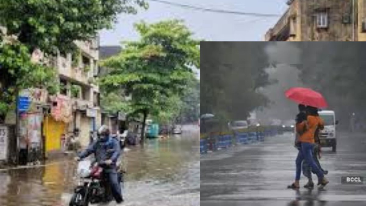 extreme rainfall alert