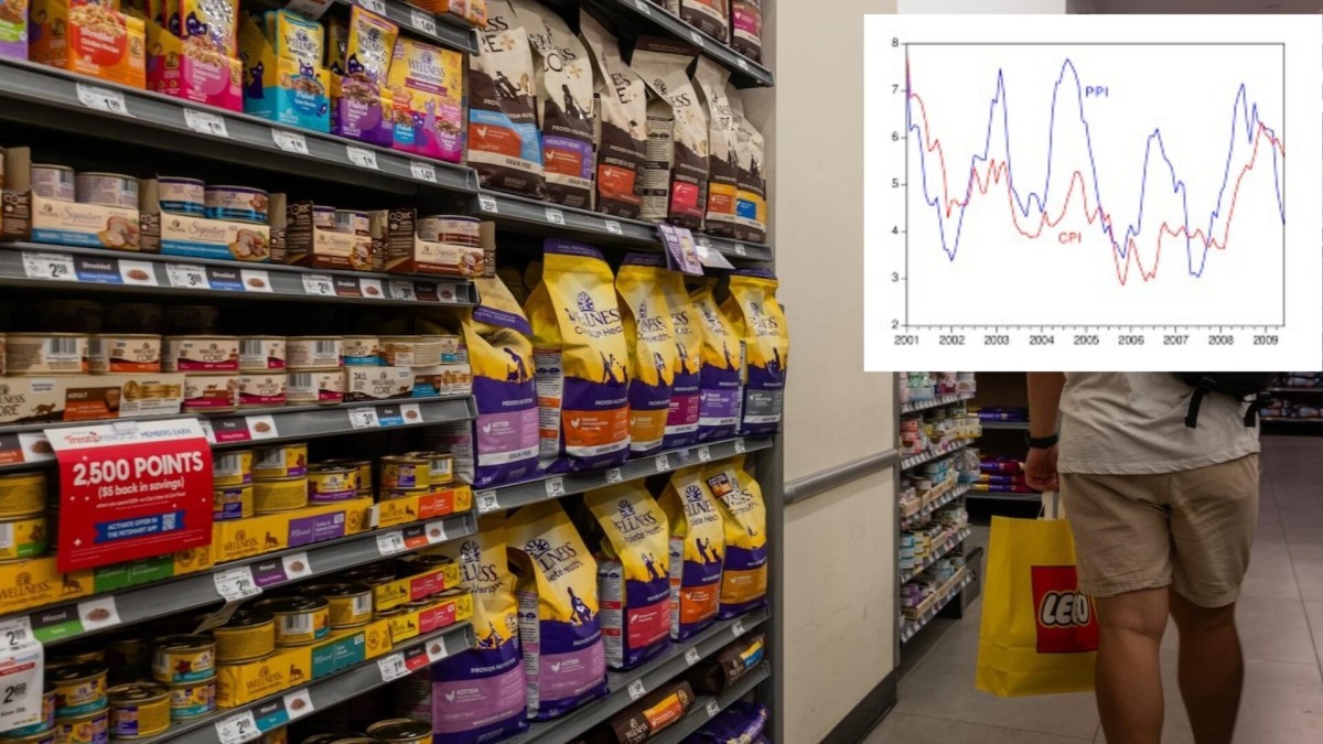 ppi inflation report
