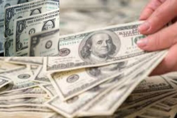 1390 stimulus checks