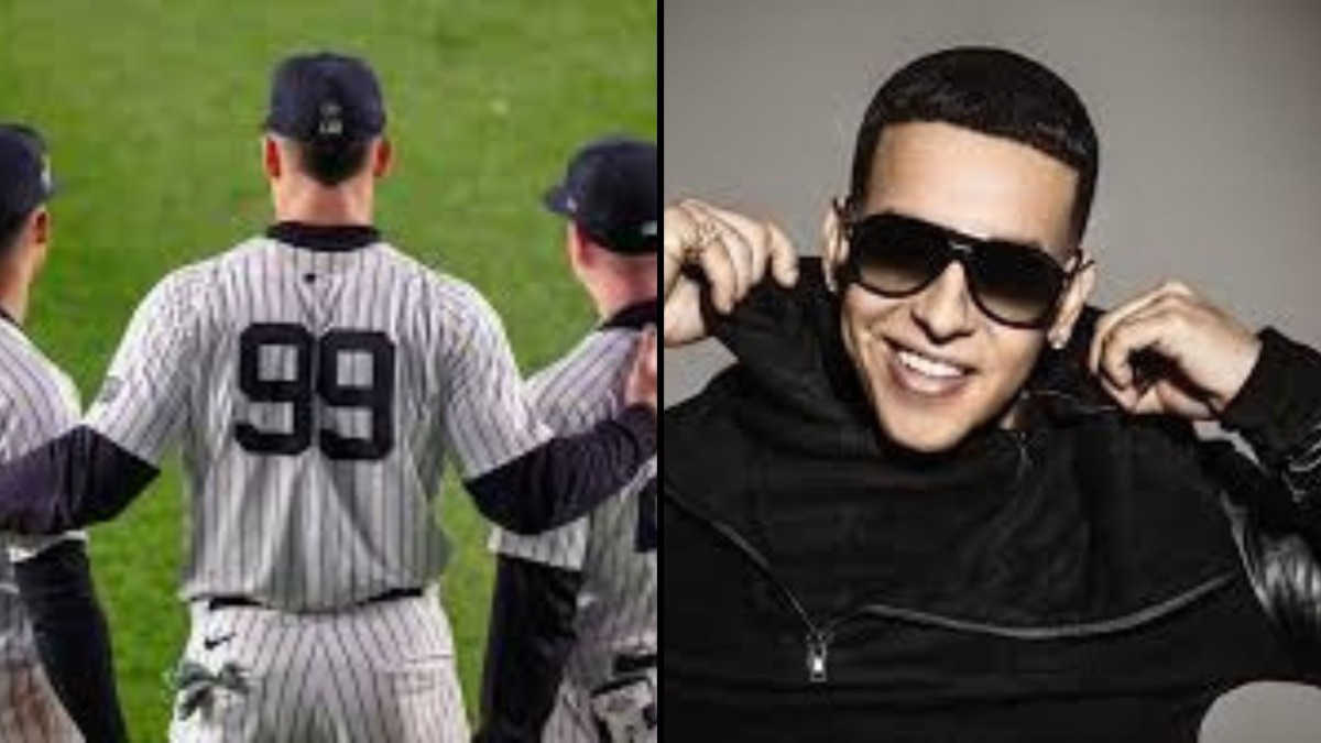 yankee