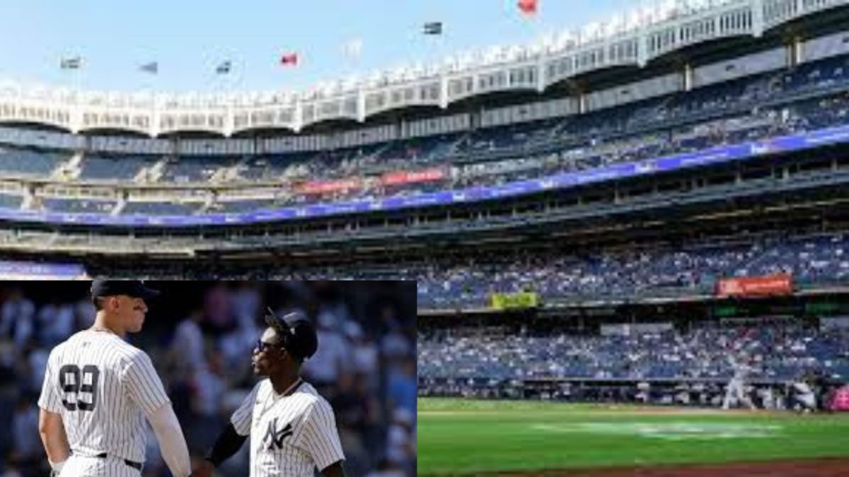 yankee