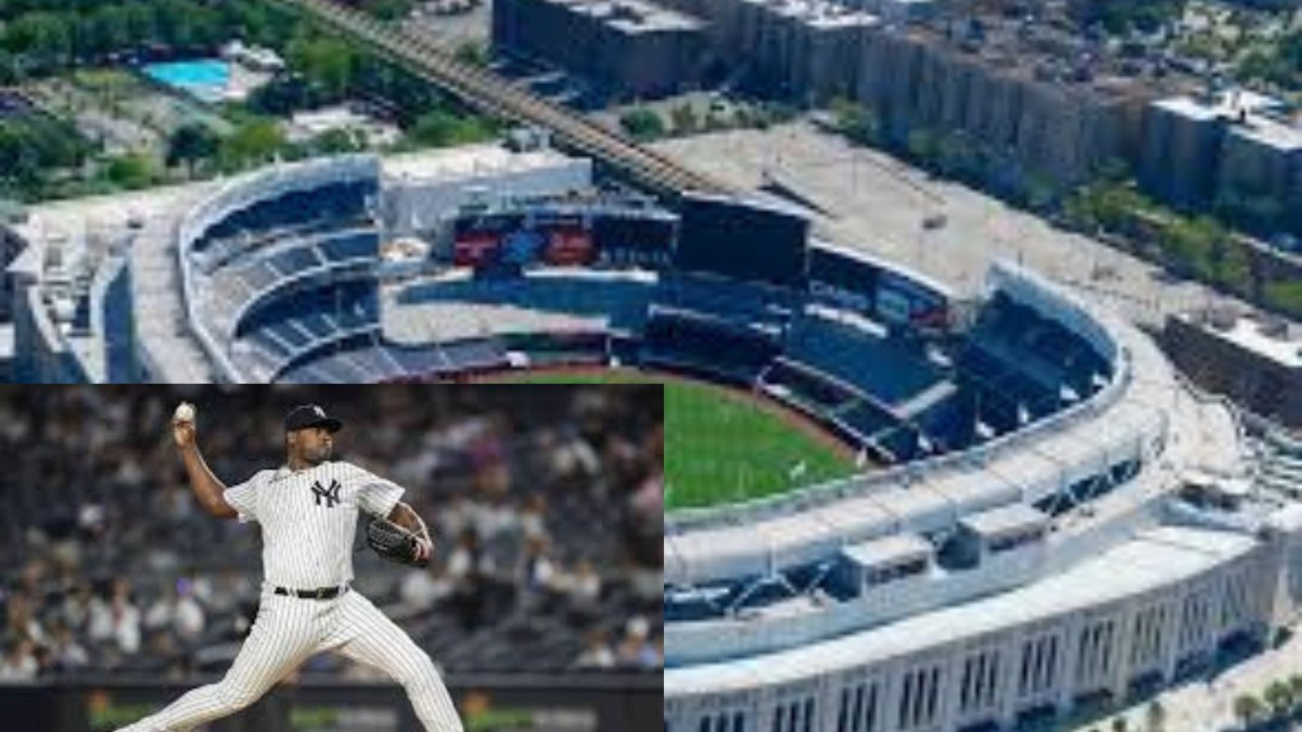 yankee
