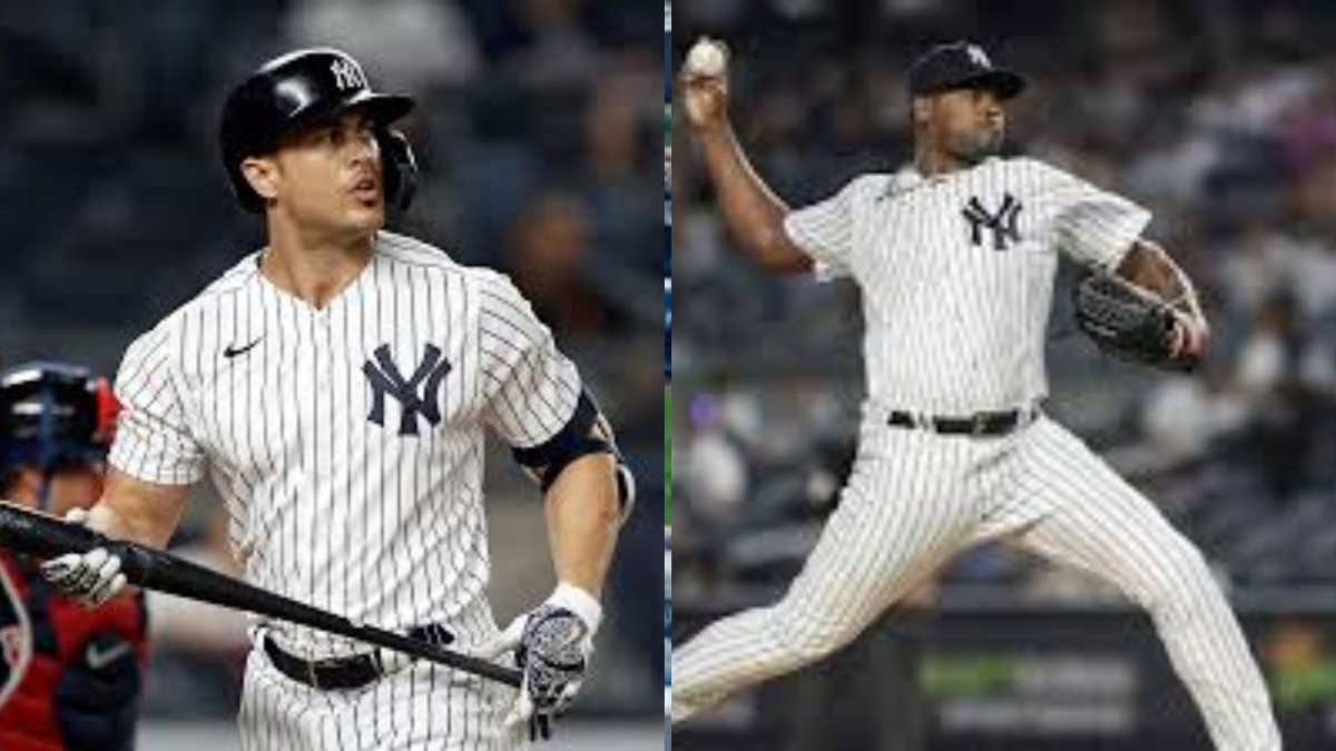 yankee