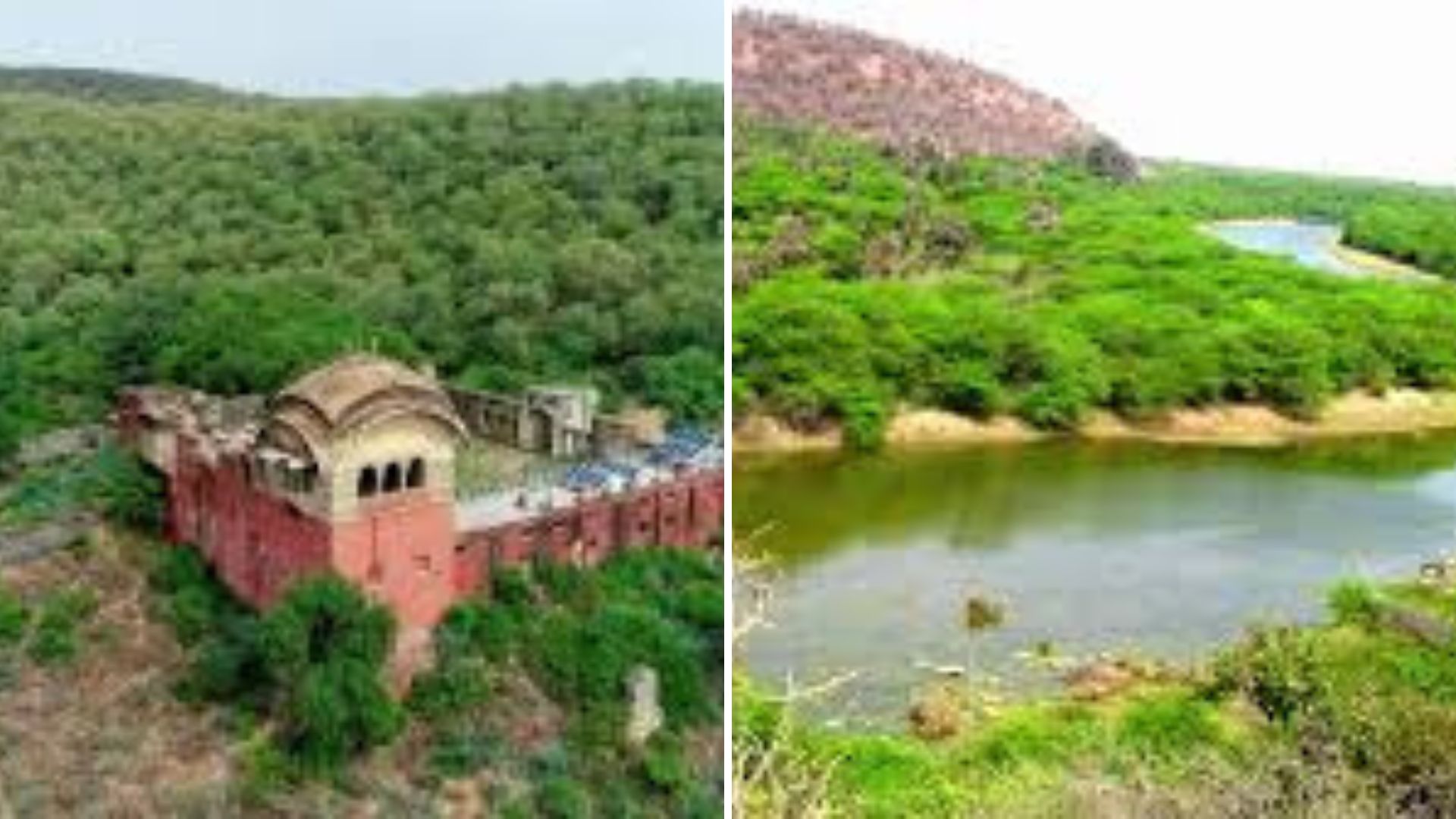 रामगढ़ विषधारी टाइगर रिजर्व