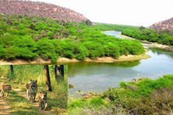 रामगढ़ विषधारी टाइगर रिजर्व