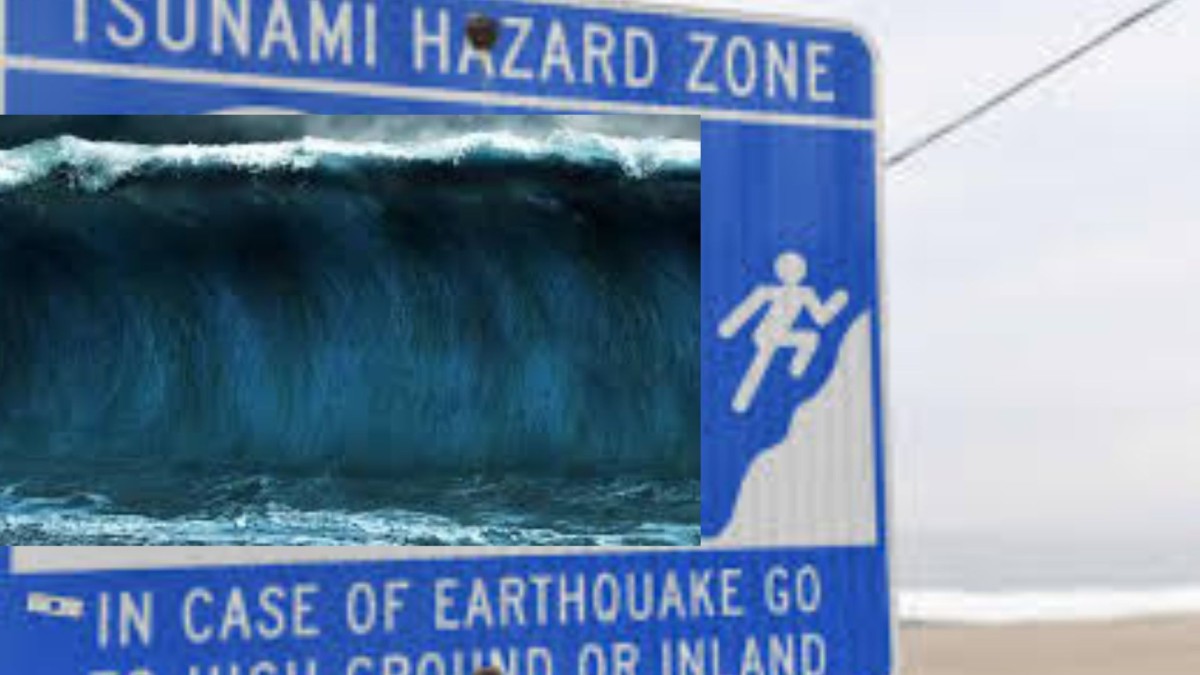 mega tsunami warning