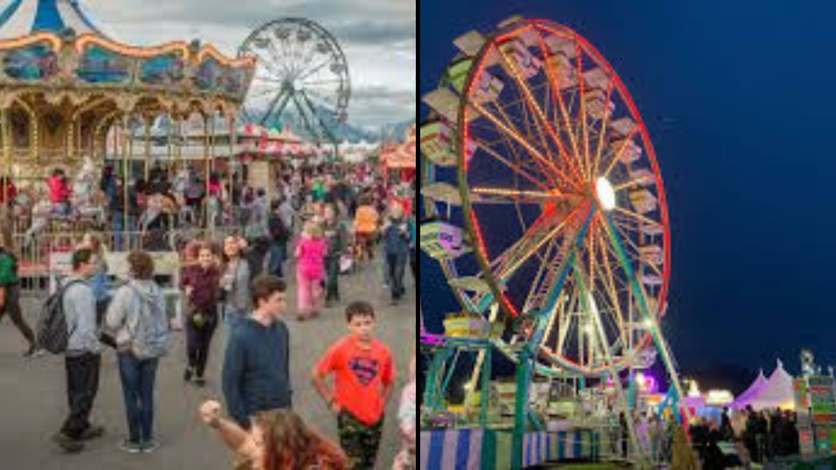 alaska state fair